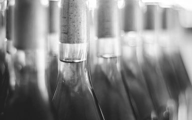 Line of the wine bottles. Close-up Cabernet Franc Rose bottles of wine in a rows. Wine bottles in cellar, Hungary