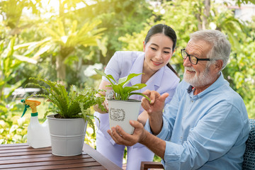 Caregiver help assist senior old man eldery puring water and taking care small tree on table