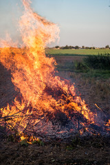 Farmer burns green wastes in bonfire, bonfire outdoors, agriculture and bonfire concept