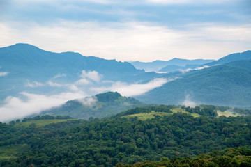 Scenic view of foggy mountains. Clouds and green mountain forest view