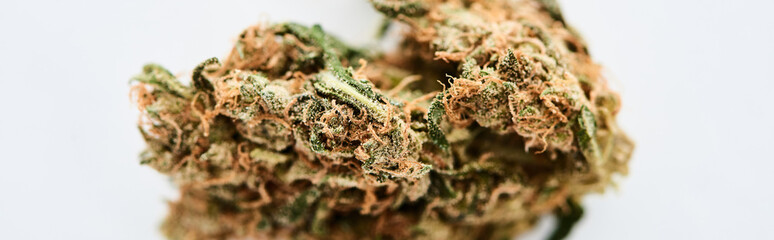 close up view of marijuana bud isolated on white, panoramic shot