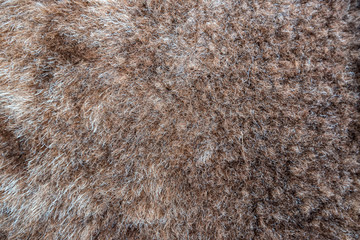 Close up of natural brown fur texture background