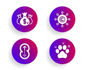 Copywriting network, Check investment and Swipe up icons simple set. Halftone dots button. Pet friendly sign. Content networking, Business report, Scrolling page. Dog paw. Business set. Vector