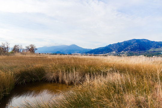 Nature reserve of the ond of Biguglia