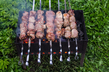 Pieces of meat of fresh pork on skewers laid on the grill with coals close-up