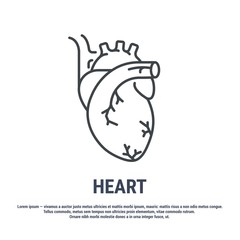 Vector icon. Line design. Human heart. Medicine and anatomy. Anatomical structure of man. Symbol, element, sign, logo, emblem. Concept illustration.
