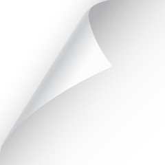 Curled page corner with shadow on transparent background. Blank sheet of paper. Vector illustration.