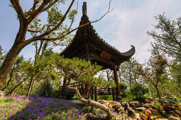 Traditional Chinese City Garden Park.