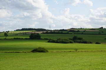 Fototapeta na wymiar Grüne Landschaft