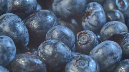 fresh garden blueberries,  macro view, banner concept