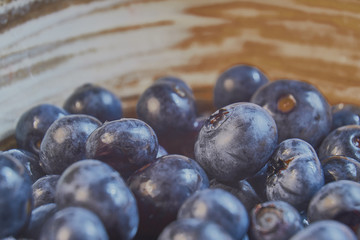 garden blueberries macro