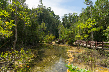 Emerald Pool (Sra Morakot) in Krabi province, Thailand. Beautiful nature scene of crystal clear blue water in tropical rainforest.