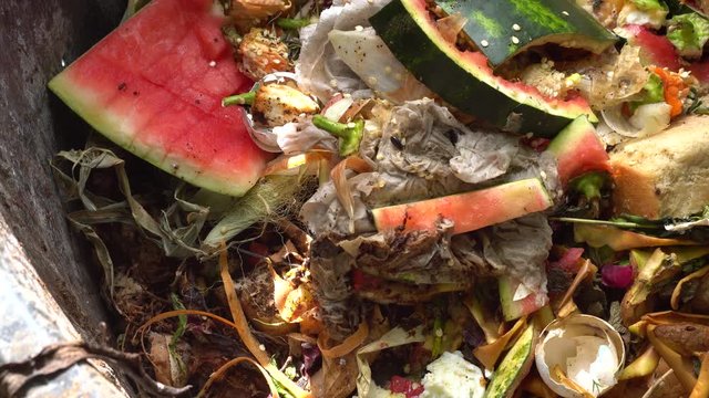 compost heap. Household organic trash. Reduce waste. Composting piles in back yard to break down and things like food leftovers, vegetables, fruits, coffee ground, eggs shells, baked goods, leaves