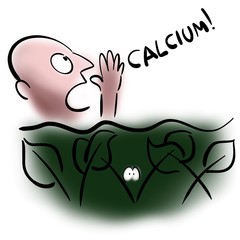 Calcium hides in dark greens
