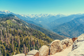 Sequoia National Park in California, USA