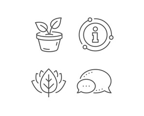 Leaves line icon. Chat bubble, info sign elements. Grow plant leaf sign. Environmental care symbol. Linear leaves outline icon. Information bubble. Vector
