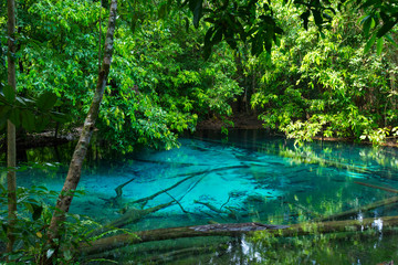 Emerald Pool (Sra Morakot) in Krabi province, Thailand. Beautiful nature scene of crystal clear blue water in tropical rainforest.