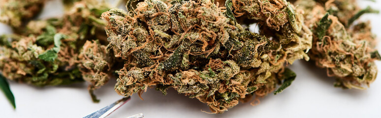 close up view of natural marijuana buds near scissors on white background, panoramic shot