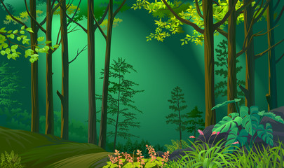 Obraz premium Moonlight illuminating a beautiful forest 