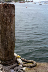 Dock Post