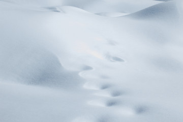 Winter white snowy landscape with fresh snowdrifts