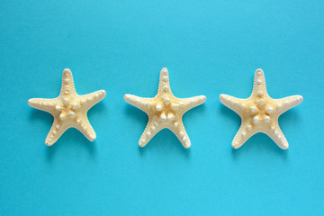 Fototapeta na wymiar Summer holiday concept with starfish on the blue background.