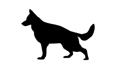 Deutscher Schäferhund Silhouette