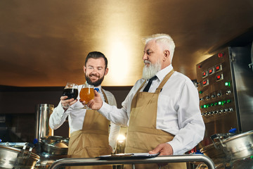 Men keeping glasses with dark and light beer and toasting