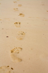 Fototapeta na wymiar Panoramic views of the sandy beach, the mountains and footprints in the sand at low