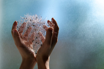 Hands hold a plant on green background on sunshine 