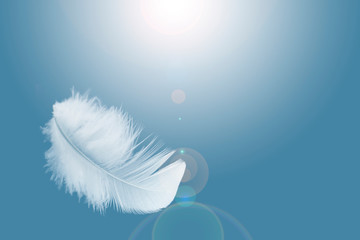 solf white feather floating in the sky