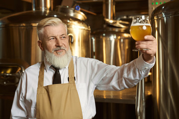 Clever man keeping glass and looking at light beer