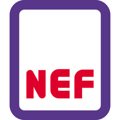 NEF raw image file format extension layout template