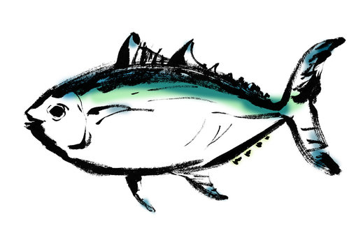 鮪 まぐろ 手書き 挿絵 美味しい マグロ 日本食 カット 筆書き 手描き カットイラスト 筆描き Stock イラスト Adobe Stock 鮪 まぐろ 手書き 挿絵 美味しい マグロ 日本食 カット 筆書き 手描き カットイラスト 筆描き Stock イラスト Adobe Stock