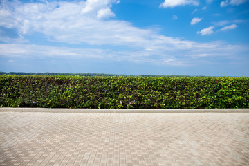 Obraz premium Volga River and the embankment of Samara, Russia