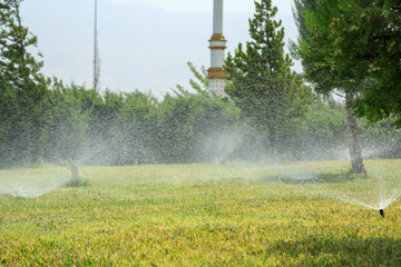 sprinkler watering the green grass on a sunny summer day