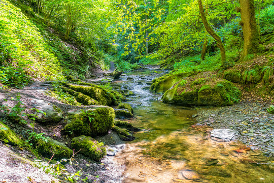 Von der Sonne nicht verw&ouml;hnt: Ehrbachklamm im Hunsr&uuml;ck