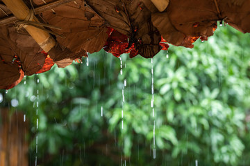 rain drops dripping from the vintage leaves roof