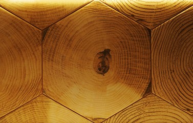 texture in the form of a cut of tree trunks - image     