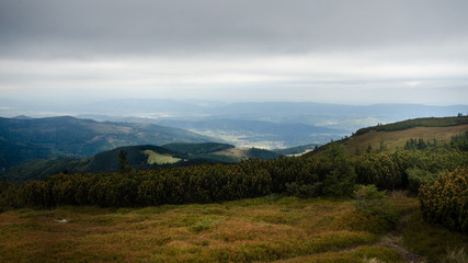 Fototapeta na wymiar View from Pilsko northwards with some vegetation in the foreground, Beskid Zywiecki, Carpathian Mountains, Poland