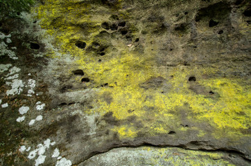 Stone texture, Bohemian Switzerland, Czech Republic