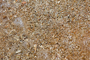 Beach macro clean waters Athens summer background fifty megapixels