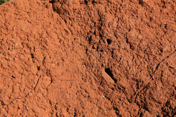 Textura 5