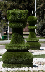 Obraz premium chess piece made from grass in the park