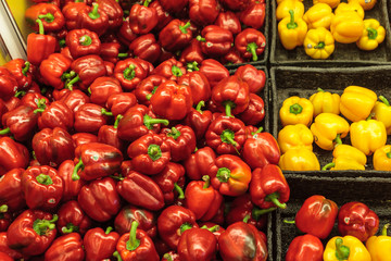 Red and yellow peppers displayed in trays at a grocery store