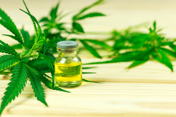 bottle of hemp oil among hemp leaves, bright wooden background	