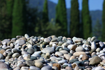 pebble beach on a blurred background of tropical trees