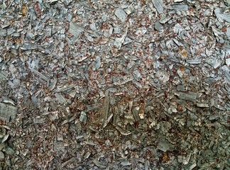 background of pieces of preson woodchips texture