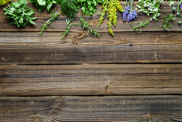 Fresh herbs, background with copy space