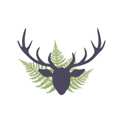 Obraz premium Fern and deer horns